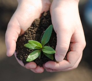 Bellingham, Washington CPA Firm